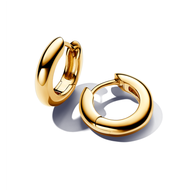 263320C00 - Okrągłe kolczyki obręcze 263320C00