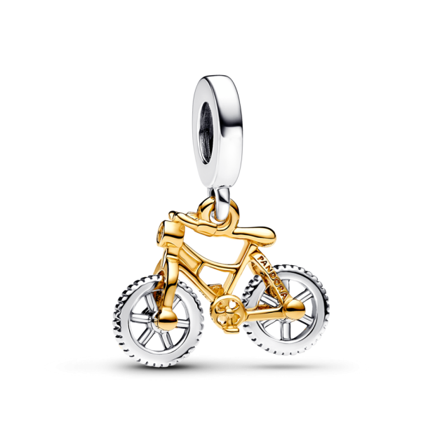 763354C01 - Dwutonowy charms-zawieszka Rower na obracających się kołach 763354C01