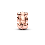 783250C01 - Charms Nala Król Lew Disney 783250C01