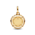 763413C01 - Charms-medalion Skarabeusz 763413C01