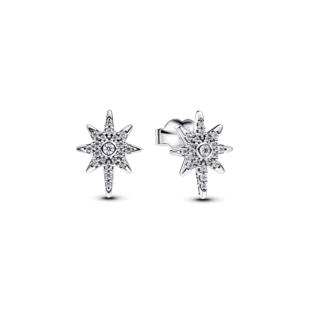 293587C01 - Lśniące kolczyki sztyfty Gwiazda Polarna 293587C01