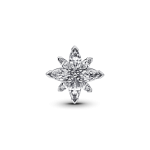 793591C01 - Lśniący charms Gwiazda Polarna 793591C01