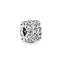 798487C01 - Charms Niezmącony blask 798487C01