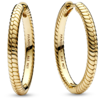 269532C00 - Kolczyki obręcze Pandora Moments Charm 269532C00