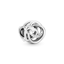 791507C00 - Charms Rodzina jest najważniejsza 791507C00